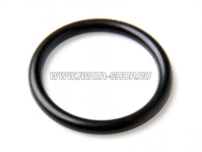 Уплотнительное кольцо на гриф (I 605 1)
