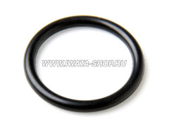 Уплотнительное кольцо на гриф (I 605 1)
